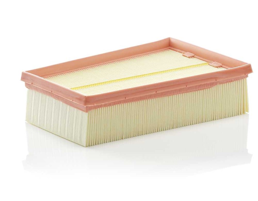 CINGHIA POLY-V_C2433/2