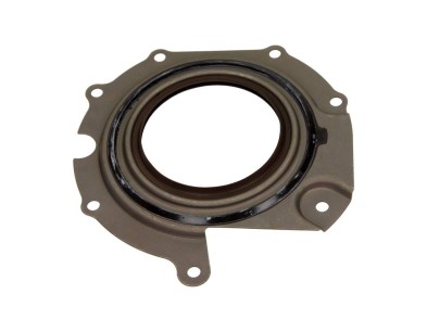 Paraolio. Pompa iniezione