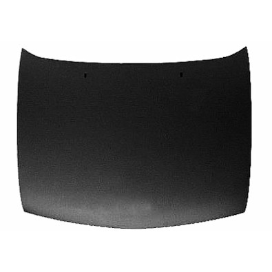 COFANO VANO MOTORE FORD FIESTA 95/99 

MOTOR HOOD FORD FIESTA 95/99 

oe 1014869