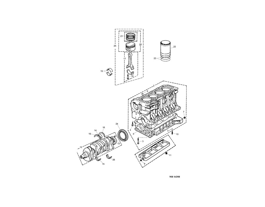 ROVER 200/25/MG