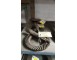 COPPIA CONICA FIAT 500C RAPPORTO  8/41