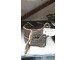 SCATOLA DIFFERENZIALE FIAT 1300