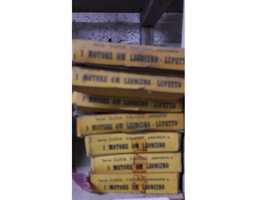 SERIE GUIDA VALVOLE OM LEONCINO - LUPETTO