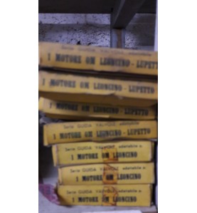 SERIE GUIDA VALVOLE OM LEONCINO - LUPETTO