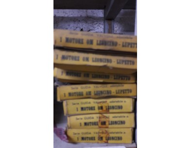 SERIE GUIDA VALVOLE OM LEONCINO - LUPETTO