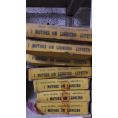 SERIE GUIDA VALVOLE OM LEONCINO - LUPETTO