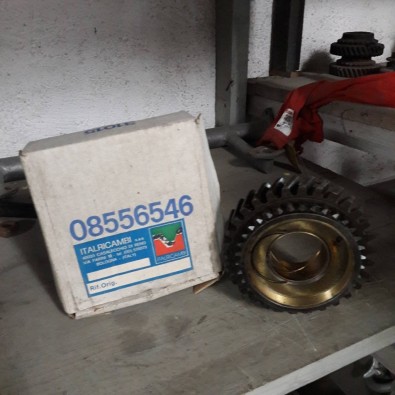 INGRANAGGIO CAMBIO 3° VELOCITA'  OM LEONCINO TIGROTTO DAINO CERBIATTO - OE 8556546