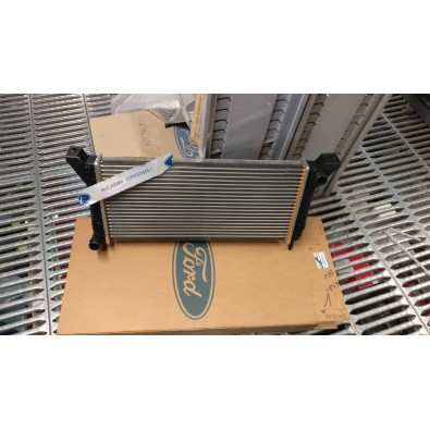 RADIATORE FORD ESCORT 86/90 

RADIATOR FORD ESCORT 86/90