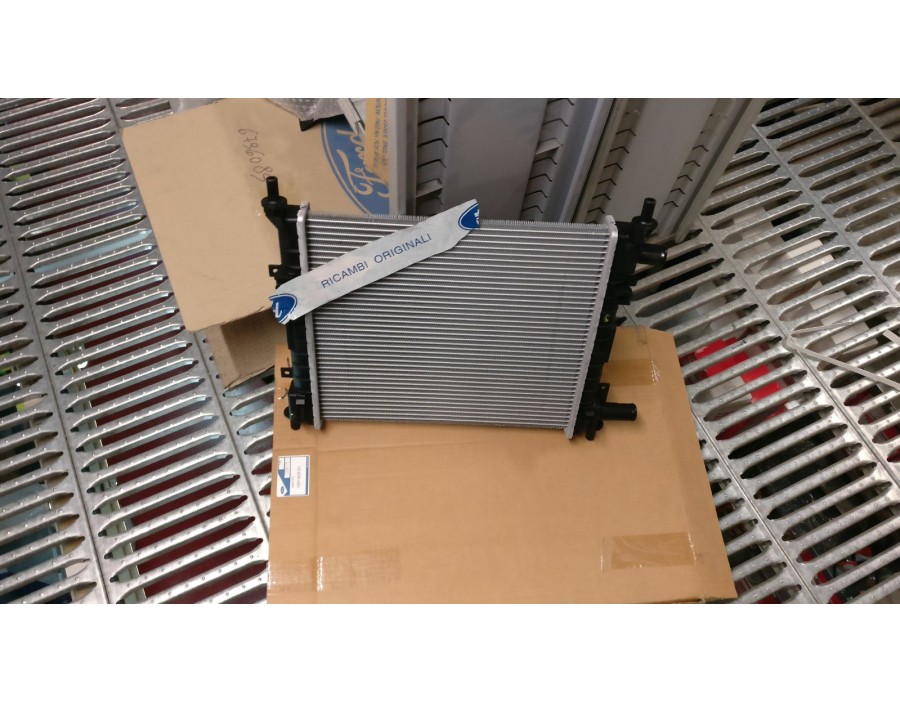 RADIATORE FORD KA 96/08 

RADIATOR FORD KA 96/08