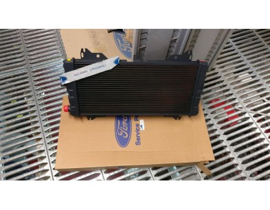 RADIATORE FORD ESCORT 81/86 

RADIATOR FORD ESCORT 81/86