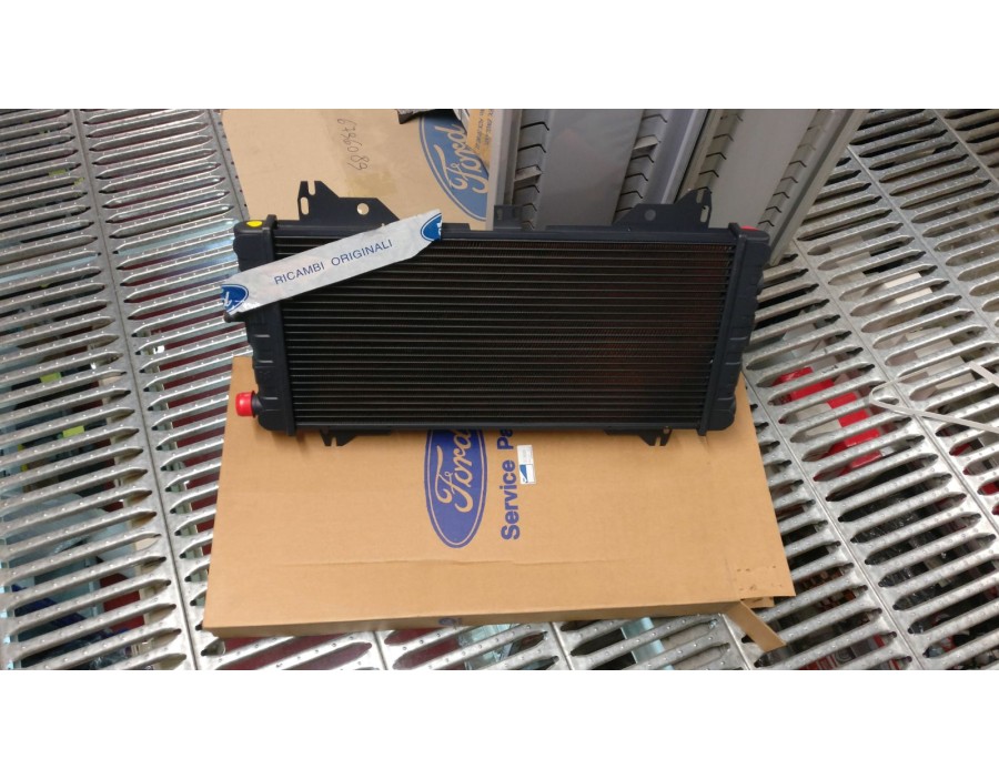 RADIATORE FORD ESCORT 81/86 

RADIATOR FORD ESCORT 81/86