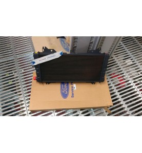 RADIATORE FORD ESCORT 81/86 

RADIATOR FORD ESCORT 81/86