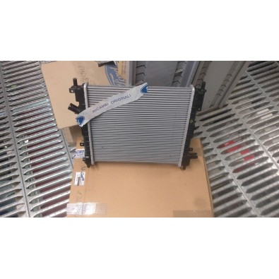 RADIATORE FORD KA 96/08 

RADIATOR FORD KA 96/08
