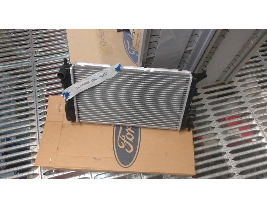 RADIATORE FORD ESCORT/ORION 90/95 

RADIATOR FORD ESCORT/ORION 90/95