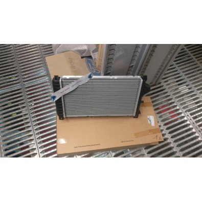 RADIATORE FORD FIESTA 89/96 

RADIATOR FORD FIESTA 89/96