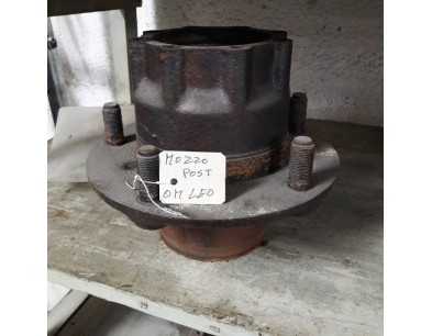 MOZZO POST OM LEONCINO - LUPETTO