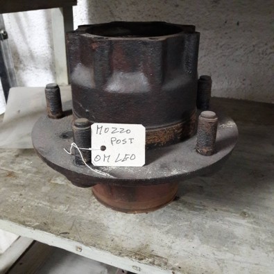 MOZZO POST OM LEONCINO - LUPETTO