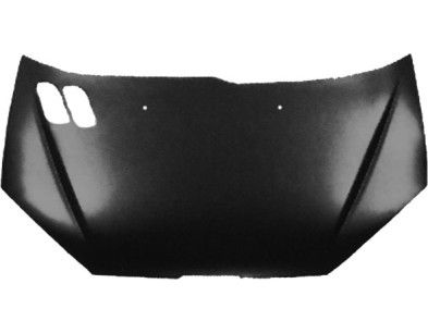 Cofano ant Peugeot 206 98-06 - Embo 58252001 - oe 7901G7 - Bonnet Peugeot 206 98-06 - Embo 58252001 - oe 7901G7 -
