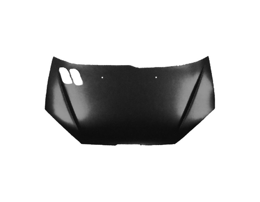 Cofano ant Peugeot 206 98-06 - Embo 58252001 - oe 7901G7 - Bonnet Peugeot 206 98-06 - Embo 58252001 - oe 7901G7 -