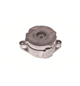 Braccio tenditore, Cinghia Poly-V