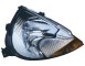 PRO0038S Faro fanale Proiettore sx TYC Ford Ka 96-08 - Left headlight Ford KA 96-08