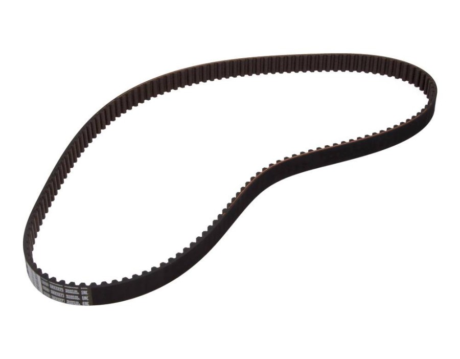 Cinghia dentata