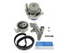 Pompa acqua + Kit cinghie dentate