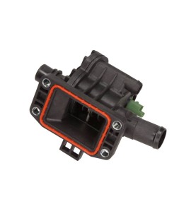 Carter del termostato