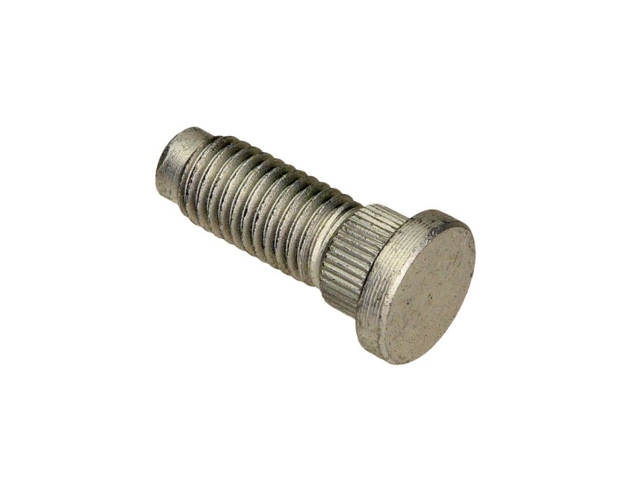 GALOPPINO/GUIDACINGHIA, CINGHIA DENTATA_1370439