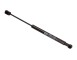 POMPA ACQUA + KIT CINGHIE DENTATE_GS0698