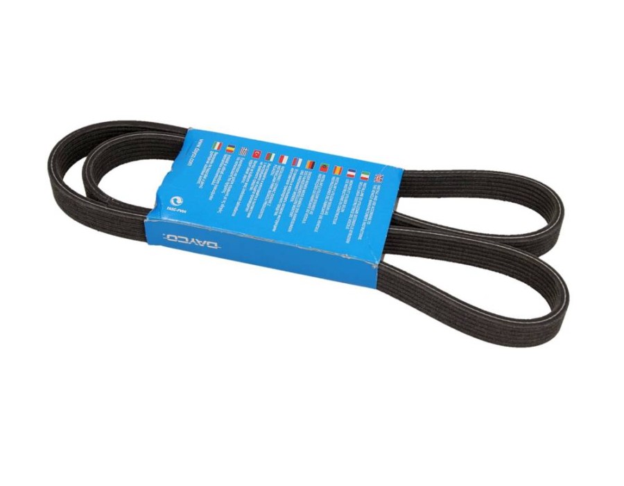 CINGHIA POLY-V_6DPK1352DAY