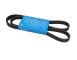 CINGHIA POLY-V_6DPK1352DAY