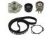 Pompa acqua + Kit cinghie dentate