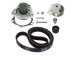 Pompa acqua + Kit cinghie dentate